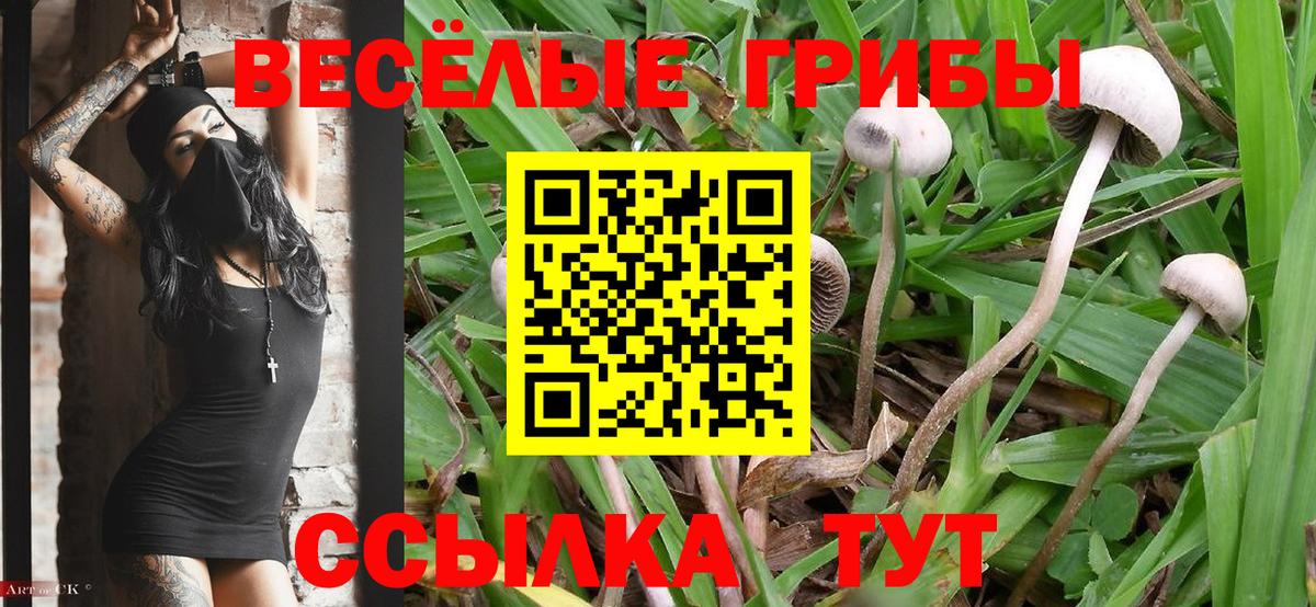 Галлюциногенные грибы Psilocybine cubensis  Псилоцибиновые грибы Psilocybine cubensis  Арзамас  Вход с VPN 