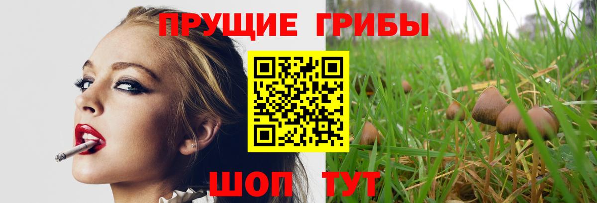 Псилоцибиновые грибы мухоморы Арзамас